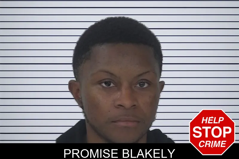 Promise Blakely mugshot