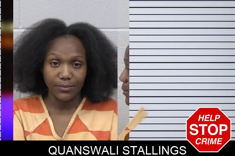 Quanswali Stallings mugshot – Paulding County , Georgia Quanswali Stallings mugshot