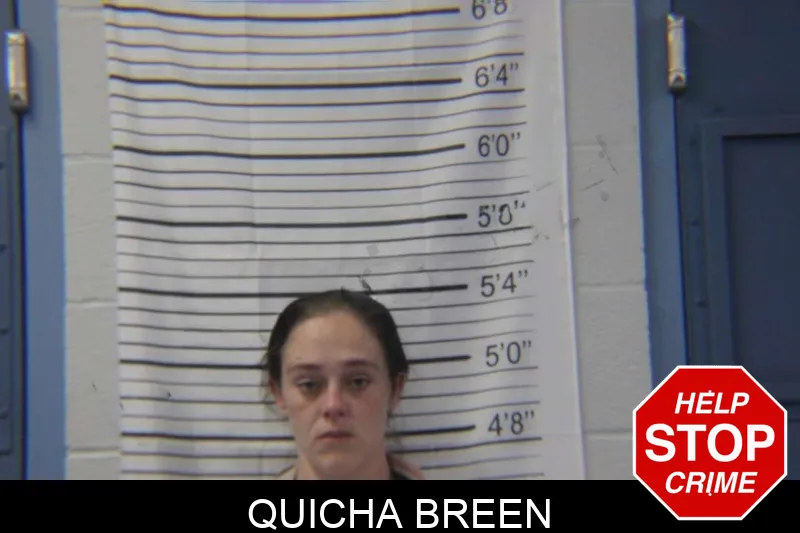 Quicha Breen mugshot – Stephens County , Georgia Quicha Breen mugshot