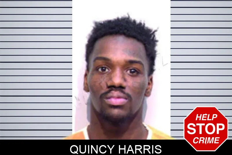 Quincy Harris mugshot – Bartow County , Georgia Quincy Harris mugshot