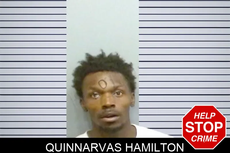Quinnarvas Hamilton mugshot – Fulton County , Georgia Quinnarvas Hamilton mugshot