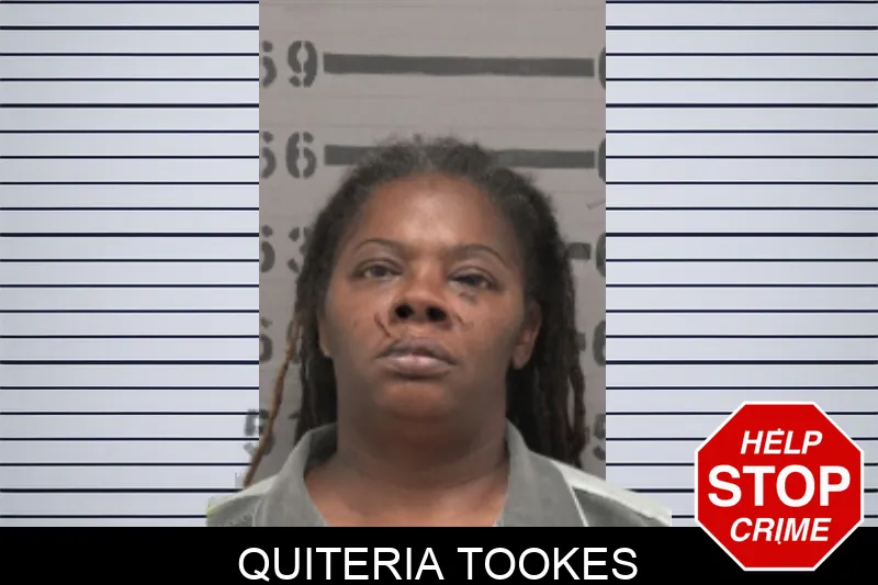 Quiteria Tookes mugshot