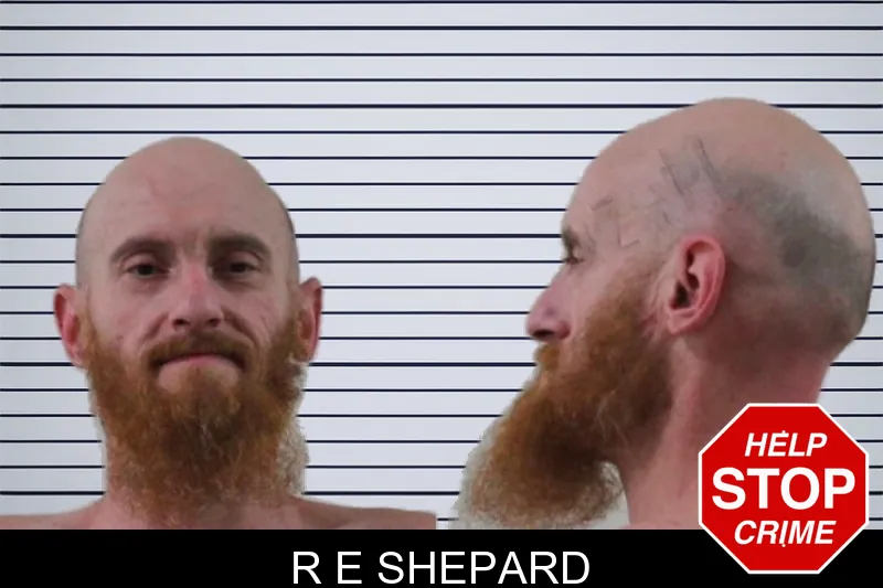 R E Shepard mugshot – Houston County , Georgia R E Shepard mugshot
