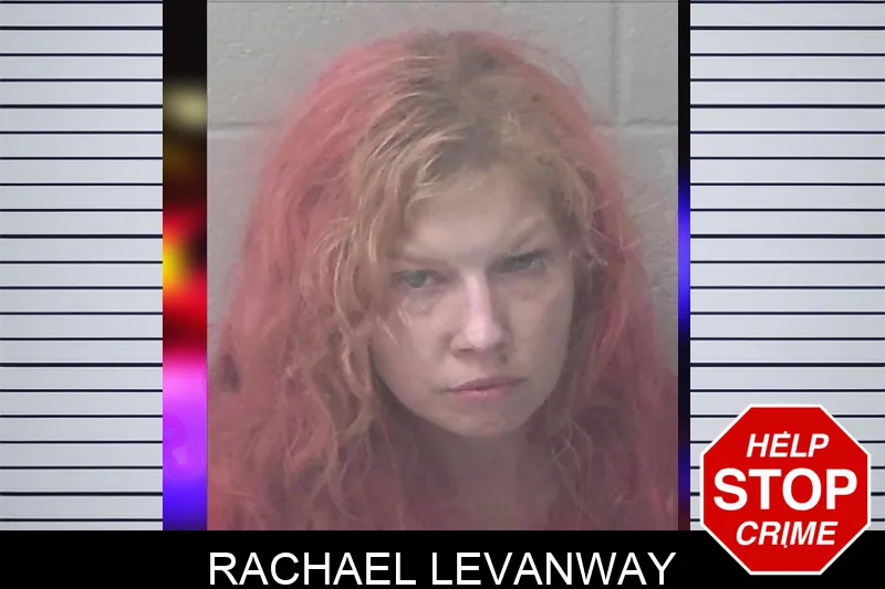 Rachael Levanway mugshot