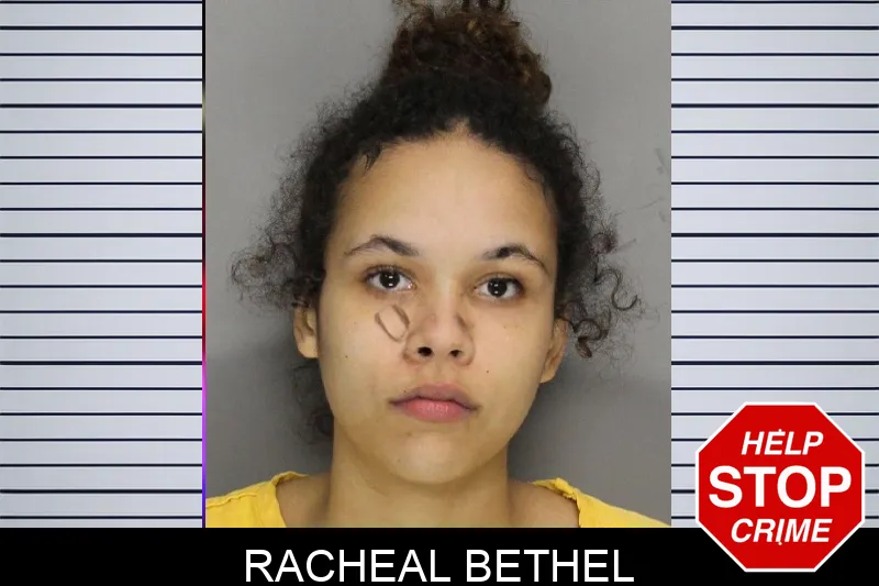 Racheal Bethel mugshot – Cobb County , Georgia Racheal Bethel mugshot