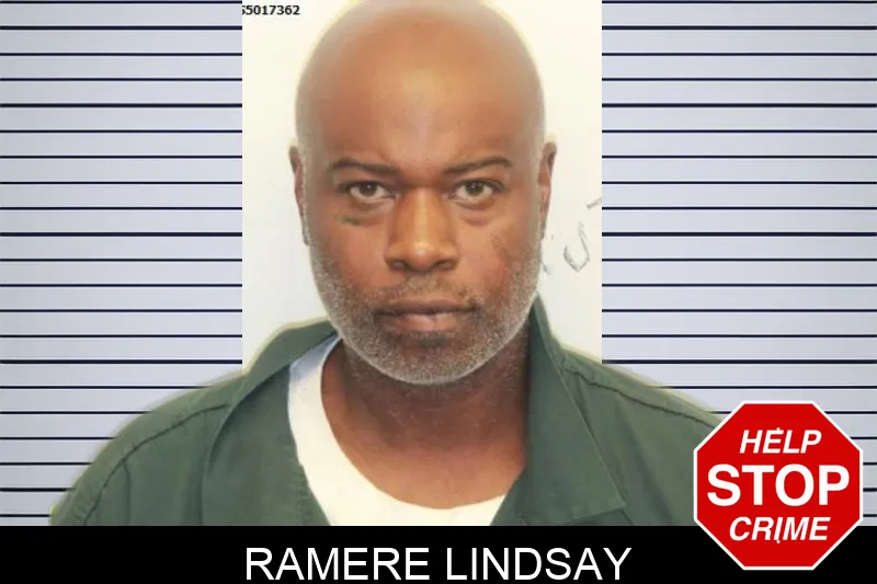 Ramere Lindsay mugshot – Chatham County , Georgia Ramere Lindsay mugshot