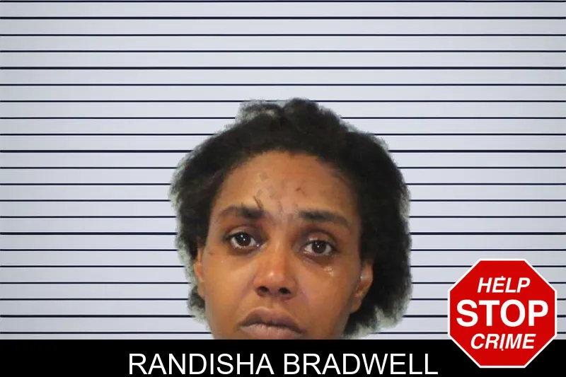 Randisha Bradwell mugshot