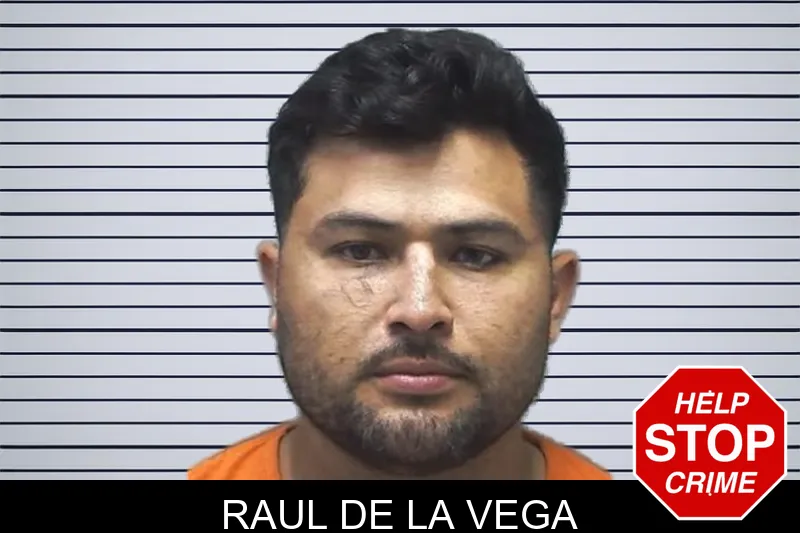 Raul De La Vega mugshot