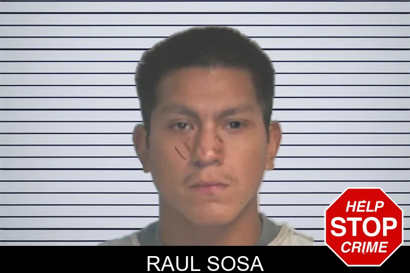Raul Sosa mugshot