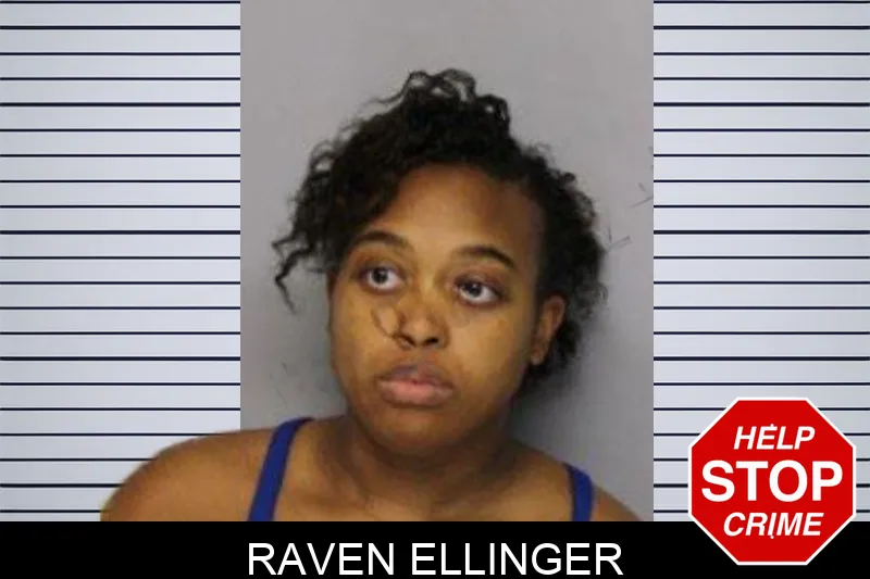 Raven Ellinger mugshot