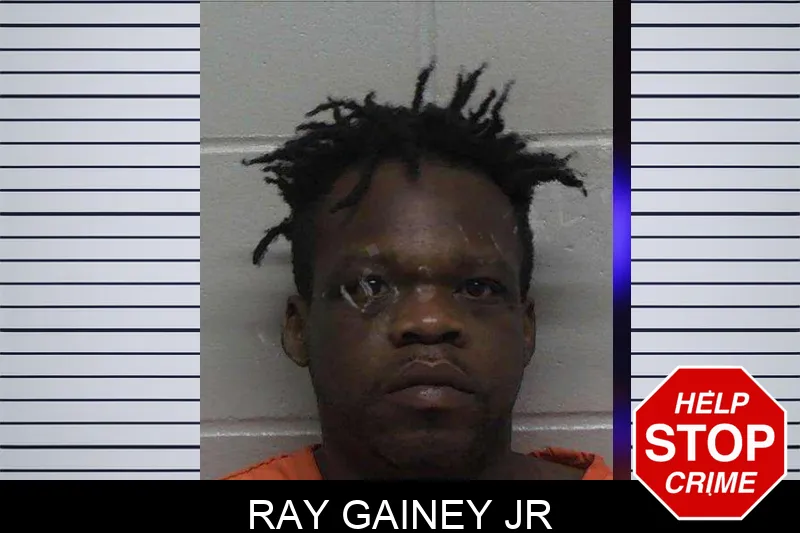 Ray Gainey Jr mugshot
