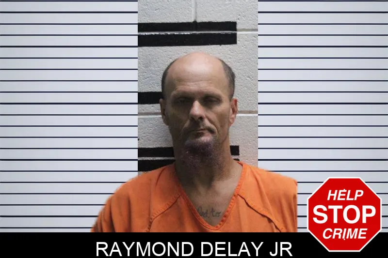 Raymond Delay Jr mugshot