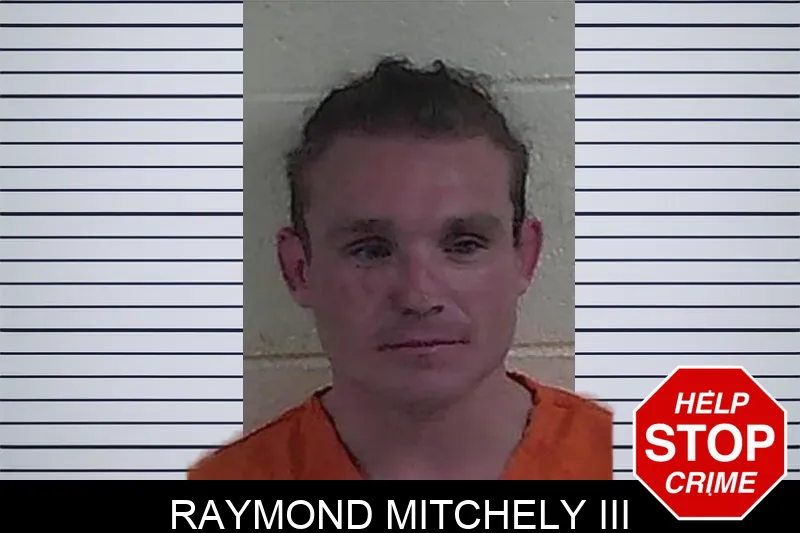 Raymond Mitchely III mugshot