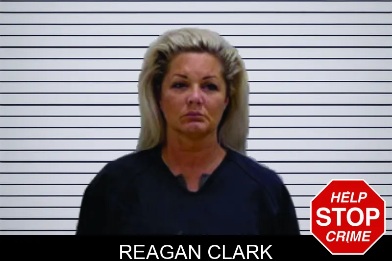 Reagan Clark mugshot