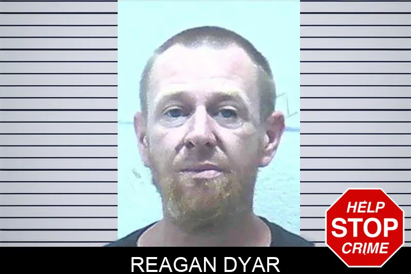 Reagan Dyar mugshot