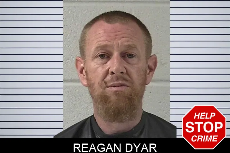 Reagan Dyar mugshot