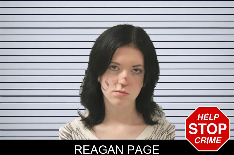 Reagan Page mugshot – Toombs County , Georgia Reagan Page mugshot