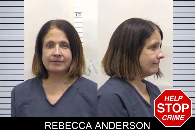 Rebecca Anderson mugshot – Clarke County , Georgia Rebecca Anderson mugshot