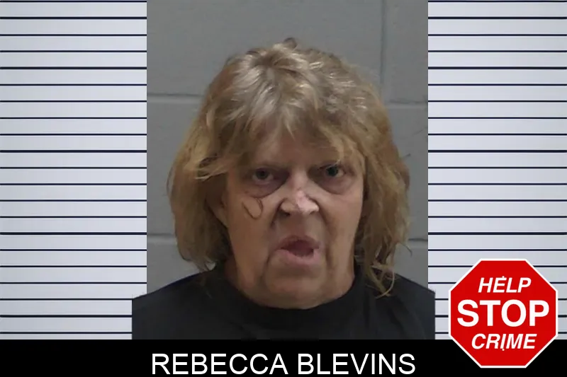 Rebecca Blevins mugshot