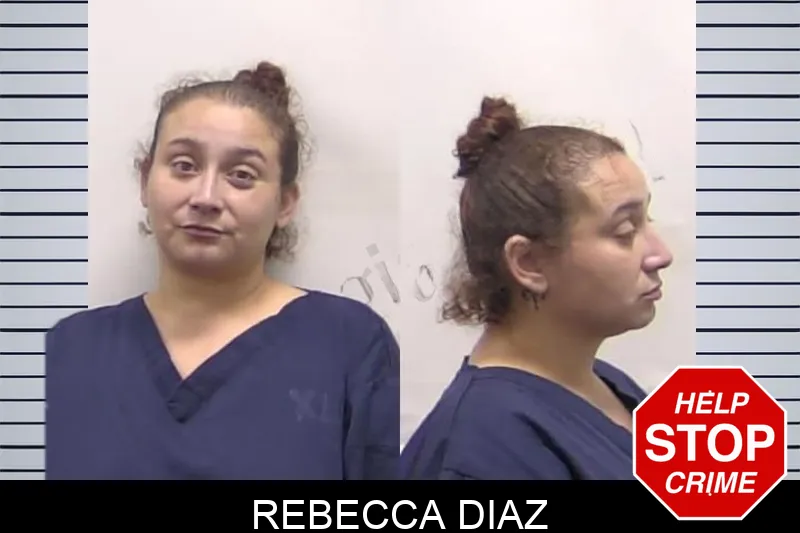 Rebecca Diaz mugshot