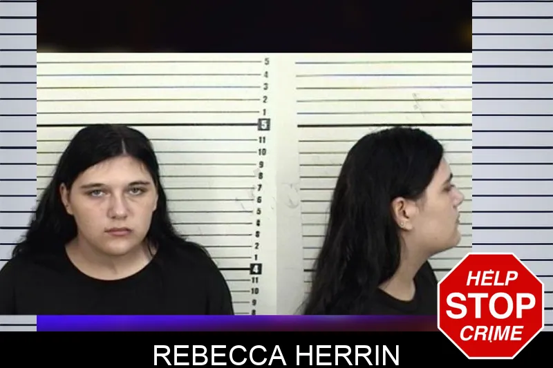 Rebecca Herrin mugshot