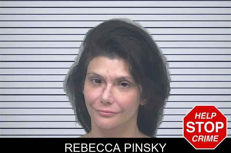 Rebecca Pinsky mugshot