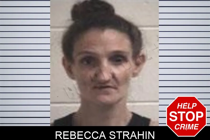 Rebecca Strahin mugshot – Henry County , Georgia Rebecca Strahin mugshot