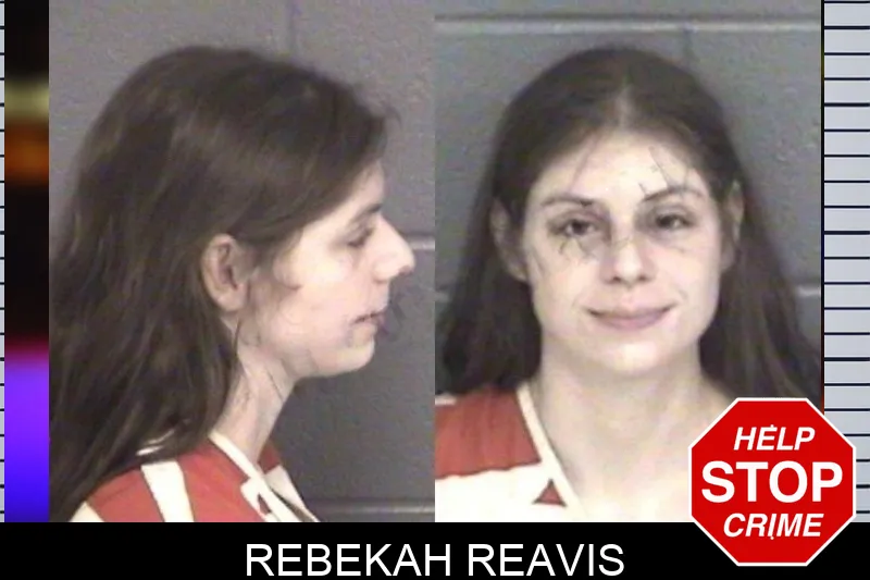 Rebekah Reavis mugshot