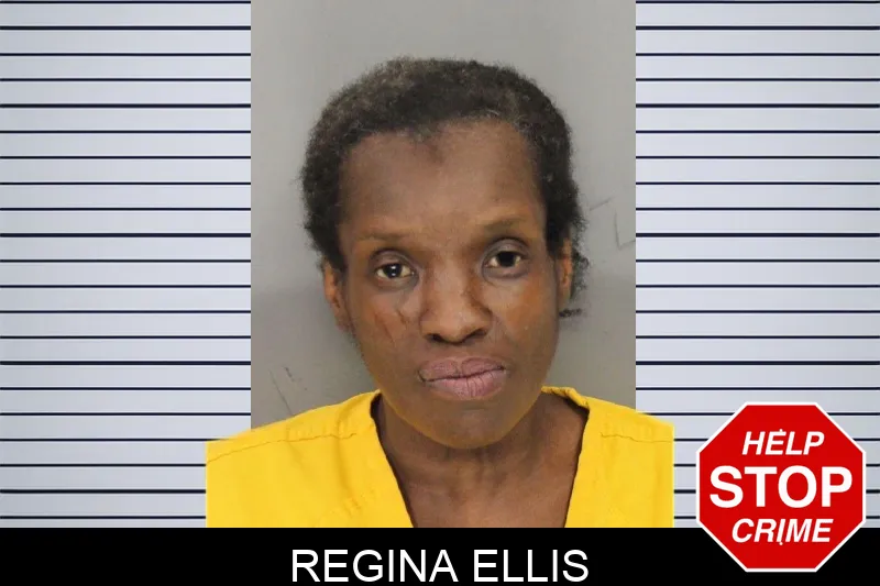 Regina Ellis mugshot – Cobb County , Georgia Regina Ellis mugshot