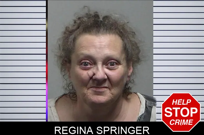 Regina Springer mugshot