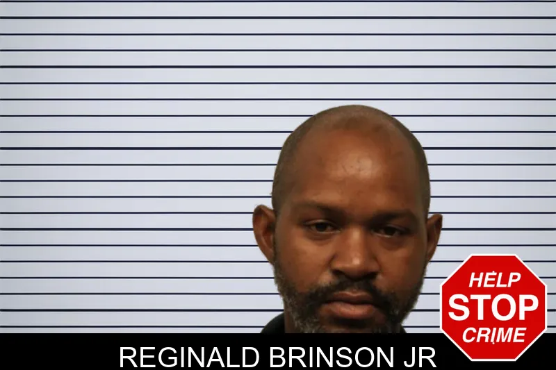 Reginald Brinson Jr mugshot