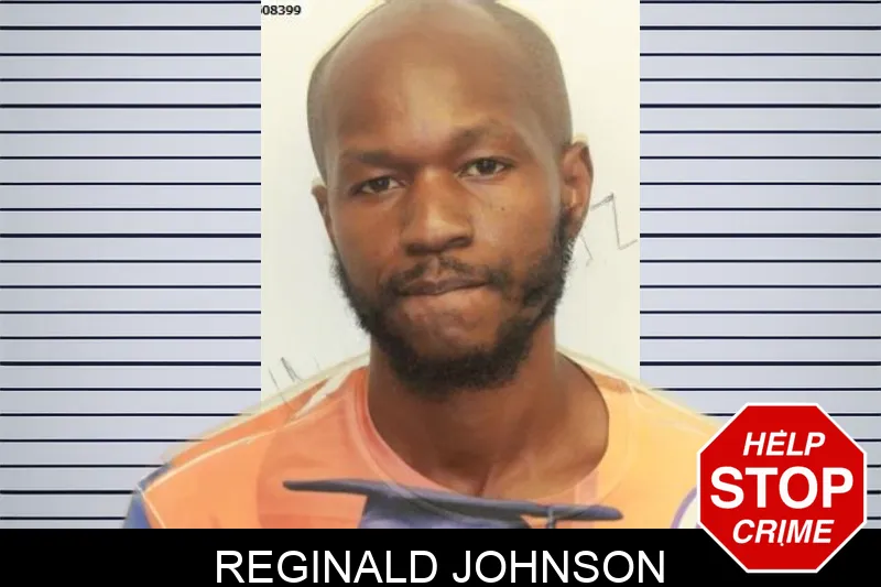 Reginald Johnson mugshot – Chatham County , Georgia Reginald Johnson mugshot