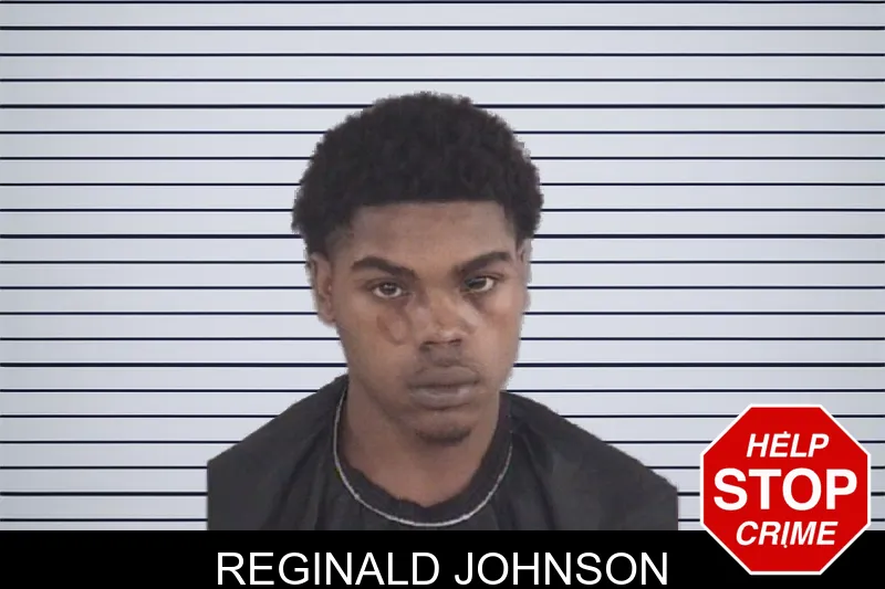 Reginald Johnson mugshot