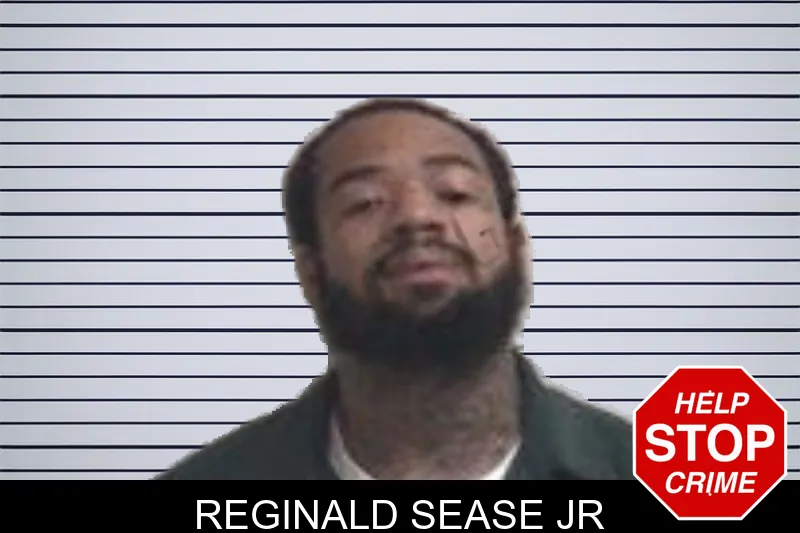 Reginald Sease Jr mugshot