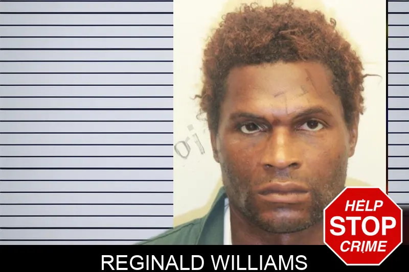 Reginald Williams mugshot