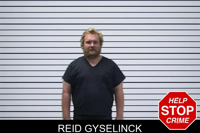 Reid Gyselinck mugshot