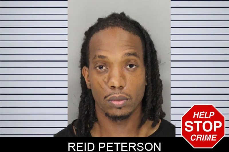 Reid Peterson mugshot – Cobb County , Georgia Reid Peterson mugshot