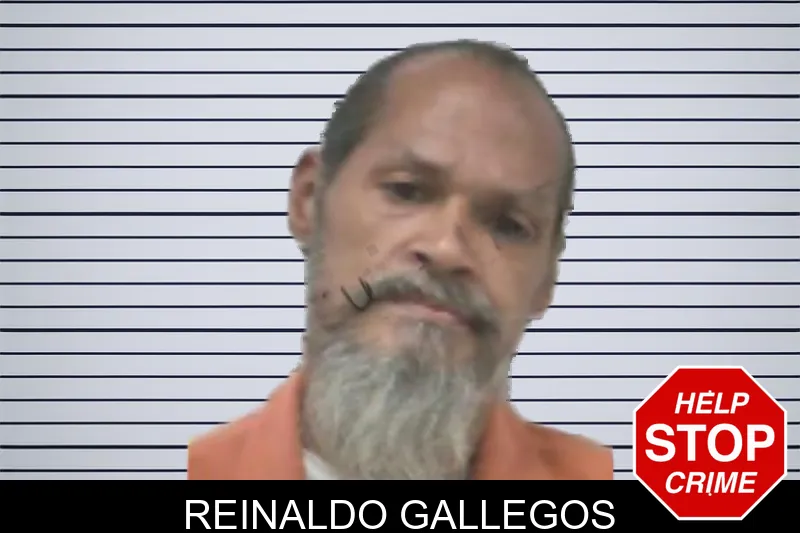 Reinaldo Gallegos mugshot