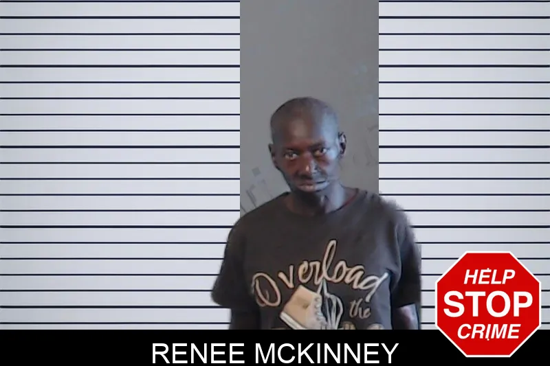 Renee McKinney mugshot