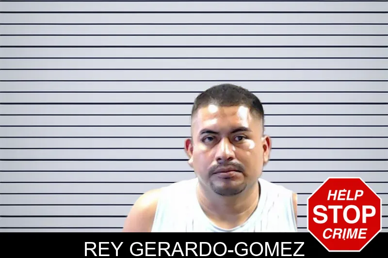 Rey Gerardo-Gomez mugshot