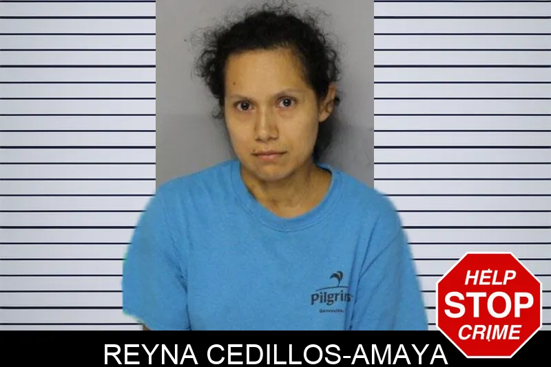 Reyna Cedillos-Amaya mugshot