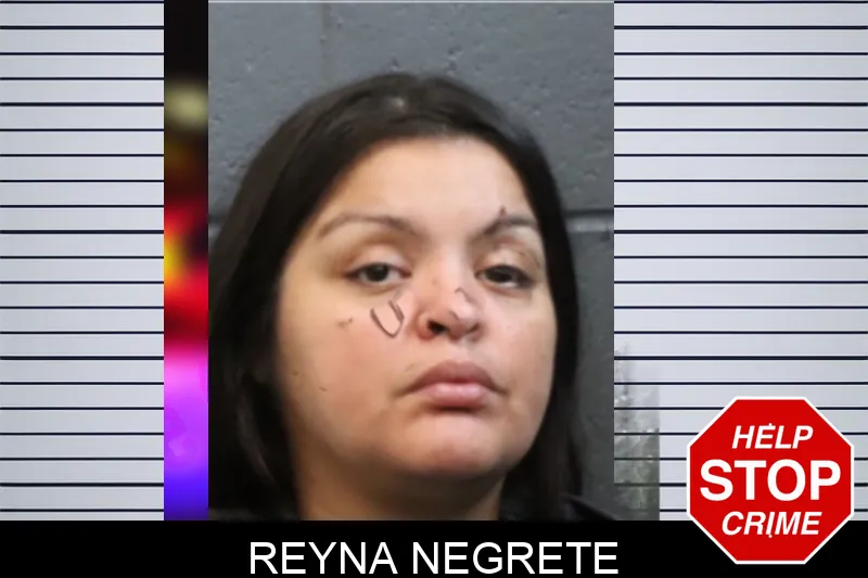 Reyna Negrete mugshot