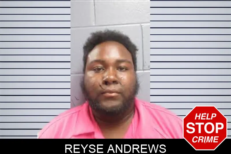 Reyse Andrews mugshot