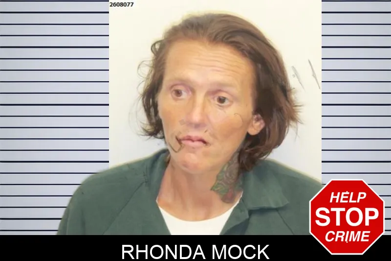 Rhonda Mock mugshot