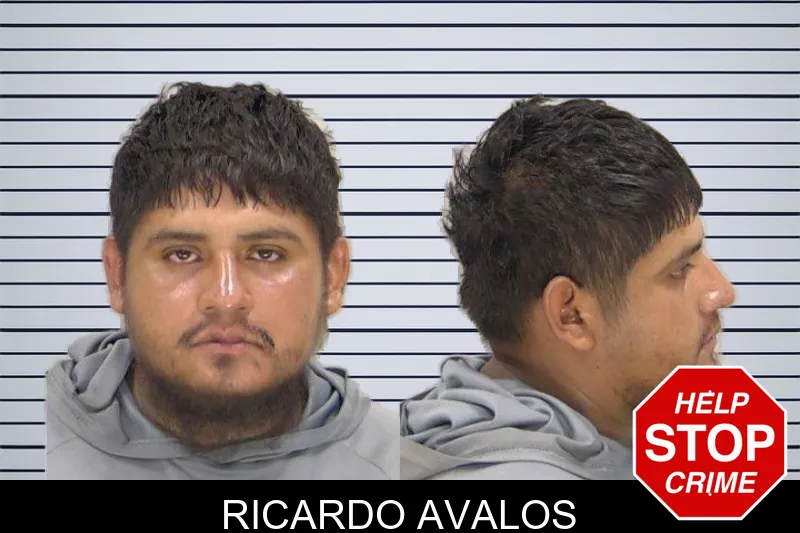 Ricardo Avalos mugshot – Richmond County , Georgia Ricardo Avalos mugshot