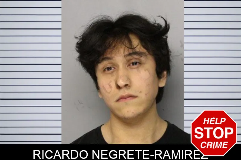 Ricardo Negrete-Ramirez mugshot