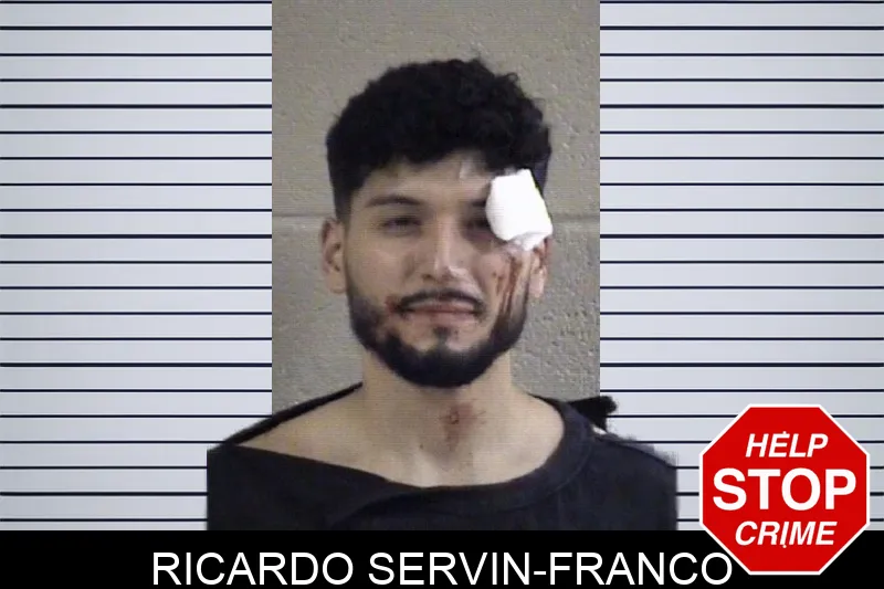 Ricardo Servin-franco mugshot
