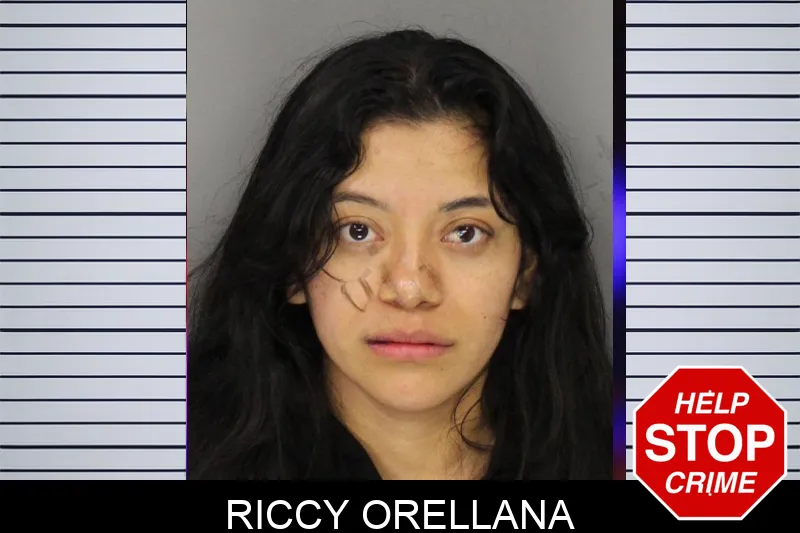 Riccy Orellana mugshot