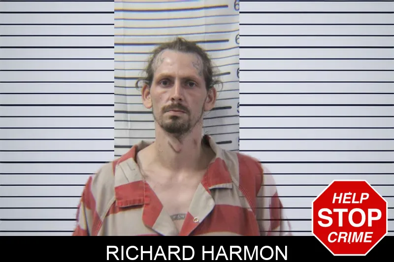 Richard Harmon mugshot