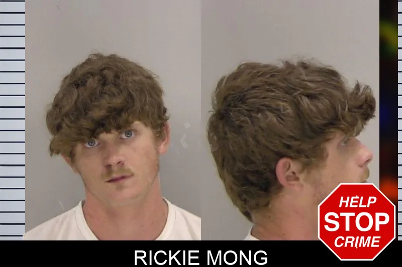 Rickie Mong mugshot